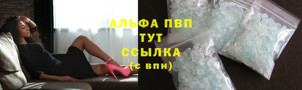 ПСИЛОЦИБИНОВЫЕ ГРИБЫ Няндома