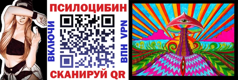 Псилоцибиновые грибы Psilocybe  Туймазы 