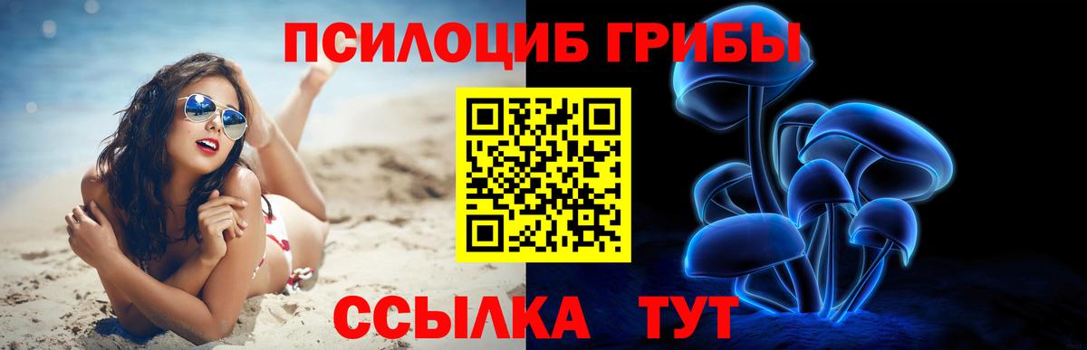 Галлюциногенные грибы Psilocybine cubensis  Вход с VPN  сколько стоит  Туймазы 